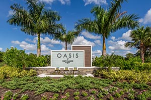 Oasis Homes Wellen Park